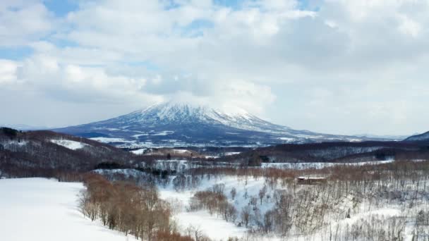 Der Schöne Winter Niseko — Stockvideo