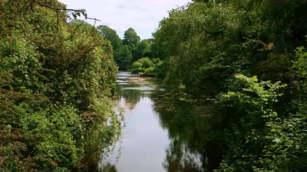 Wild Hidden Calm River Summer Kastellet Copenhagn Ultra Uhd — Stock video