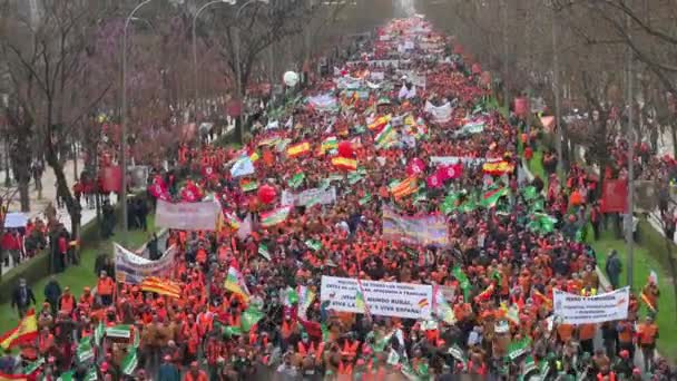 Manifestación Organizada Por Sindicatos Agricultores Federaciones Caza Que Exigen Futuro — Vídeos de Stock