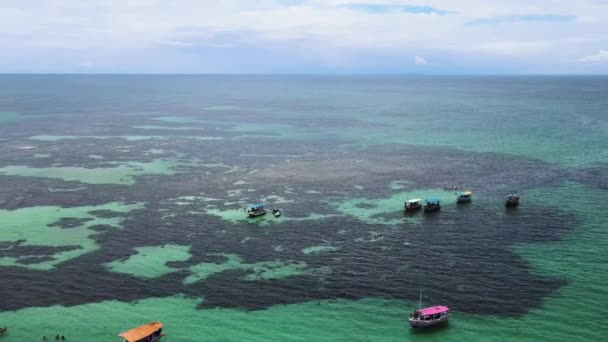 Aerial View Caramuanas Reef Natural Pools Todos Santos Bay Brazil — Vídeos de Stock