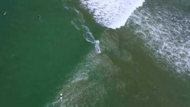 Top Drone Shot Surfer Puerto Jimenez Costa Rica — Stockvideo