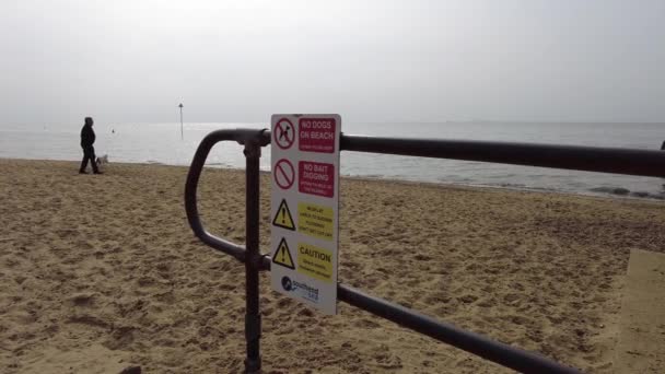 Persoon Het Strand Wandelen Hond Met Geen Hond Teken Engels — Stockvideo