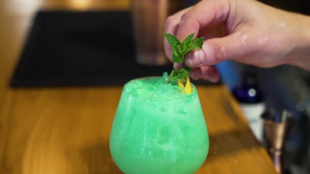 Barkeeper Garniert Buntes Cocktailgetränk Mit Minzzweig Und Zitronenschale Zeitlupe Großaufnahme — Stockvideo