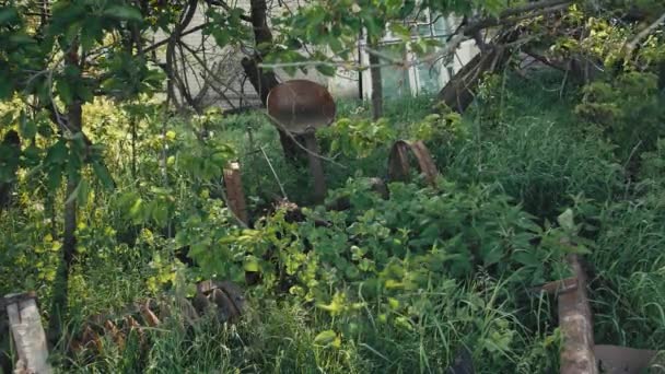 Παλιό Σκουριασμένο Χλοοκοπτικό Άλογα Στέκεται Ανάμεσα Χόρτα Δέντρα Και Θάμνους — Αρχείο Βίντεο