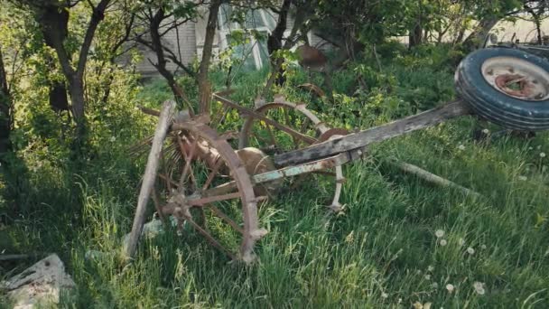 老旧生锈的马铃薯挖掘机是马动力驱动的 它矗立在一个贫穷的老村子里的草丛 树木和灌木之间 是一堆废弃的旧设备 — 图库视频影像