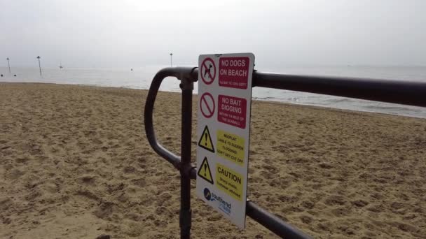 Signage Dogs Beach Pan Person Walking Dog Leigh Sea Essex — ストック動画