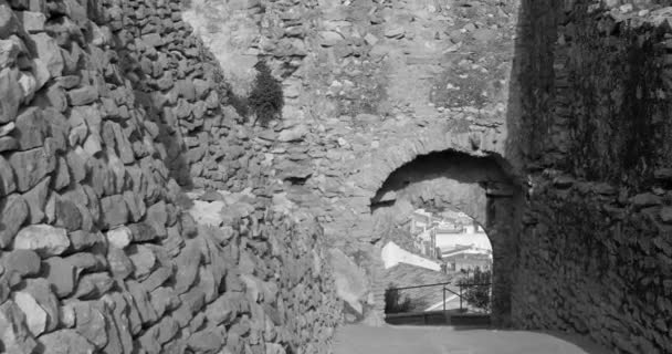 Black White Shot Remains Old Entrance Gate Medieval Castle Cervera — Stock Video