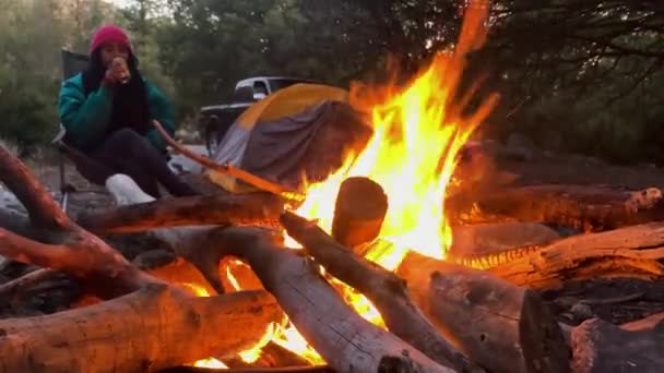 Genç Yürüyüşçü Kadın Şenlik Ateşinin Önünde Dinleniyor Bira Içerken Kamp — Stok video