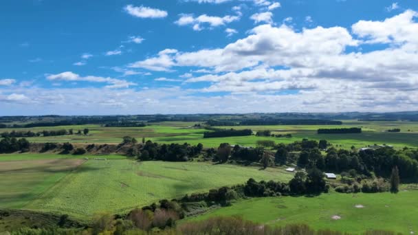 Fly Verdant Tranquil Farmland Lush Βοσκότοποι Νέα Ζηλανδία — Αρχείο Βίντεο