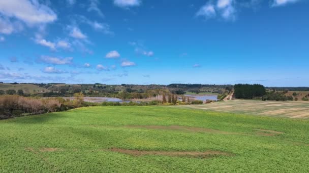 Letět Přes Zelenou Zemědělskou Půdu Směrem Zaplavené Rangitkei River Nový — Stock video