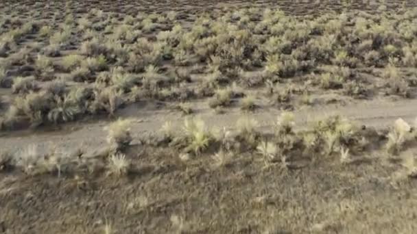 Fly Forward Scene Revealing Eastern Sierra Nevada Mountain Chain Natural — Stock Video