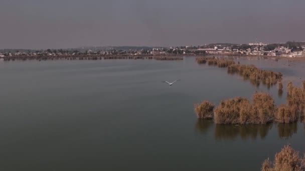 Kallar Kahar Hotspot Turistico Situato Circa Chilometri Dalla Città Chakwal — Video Stock