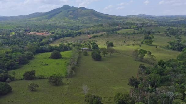 Aerial Backwards Shot Exotic Nature Landscape Bayaguana Sunlight Growing Plants — стокове відео