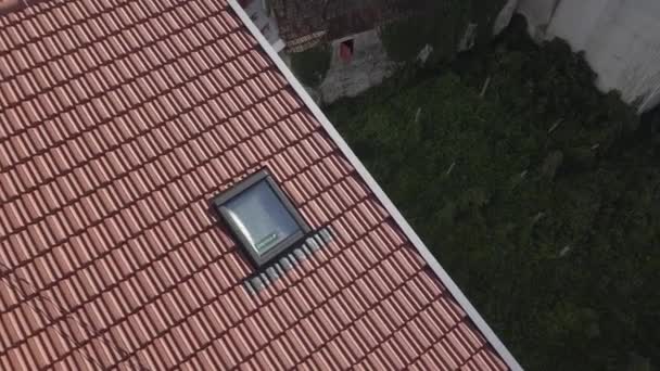 Pássaros Voando Sobre Uma Janela Velux Telhado Renovado — Vídeo de Stock