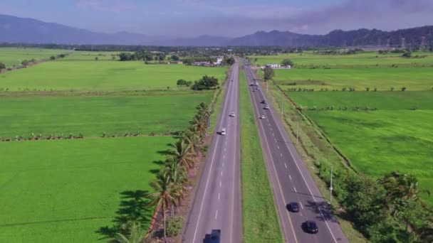 Aerial Flyover Motorway Traffic Bonao Surrounded Green Growing Rice Fields — Vídeo de Stock