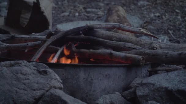 Kamp Ateşine Yakın Kamp Sobası Ile Vahşi Doğada Yürüyüş Yaptıktan — Stok video
