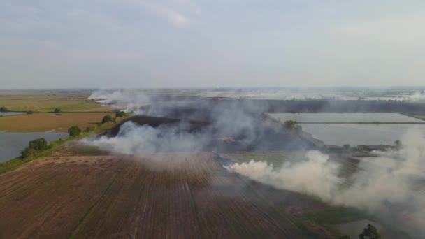 Reverse Aerial Footage Tilled Farmlands Burning Farmers Prepare Planting Season — 비디오