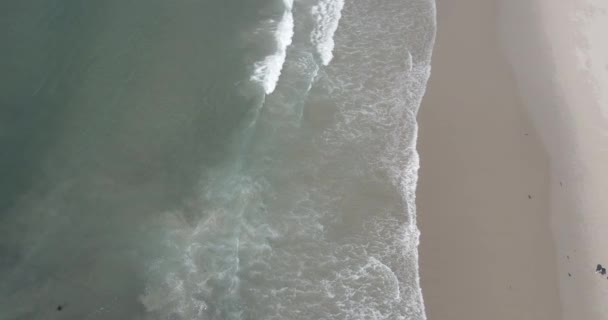 Flygfoto Som Vågor Kraschar Santa Monica Strandlinje — Stockvideo