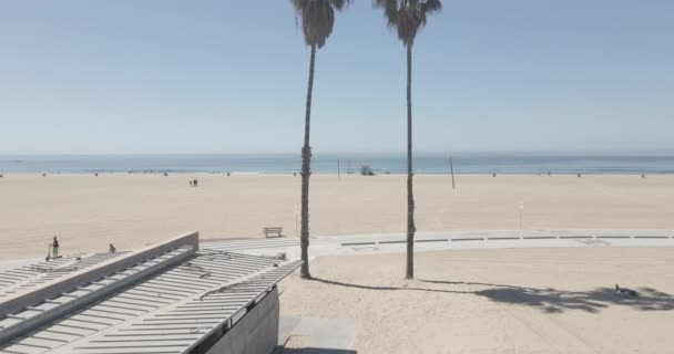 Praia Sul Califórnia Como Drone Voa Através Duas Palmeiras — Vídeo de Stock