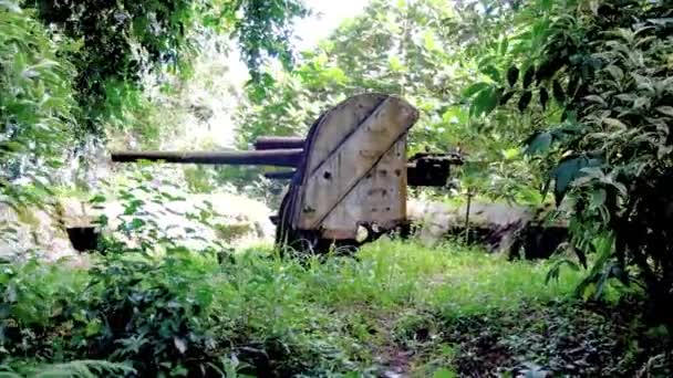 Cañón Antiaéreo Japonés Segunda Guerra Mundial Historia Preservada Los Bosques — Vídeos de Stock