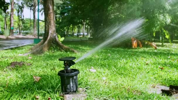 Lawn Irrigation System Lawn Sprinkler Watering Grass Operation Spray Water — Video