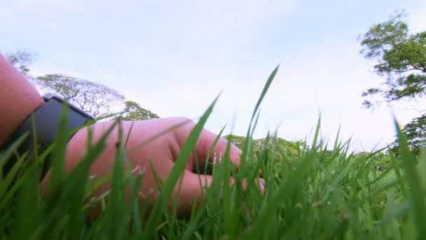 Close Hand Touching Green Grass Field Background Grass Lawn Woman — ストック動画