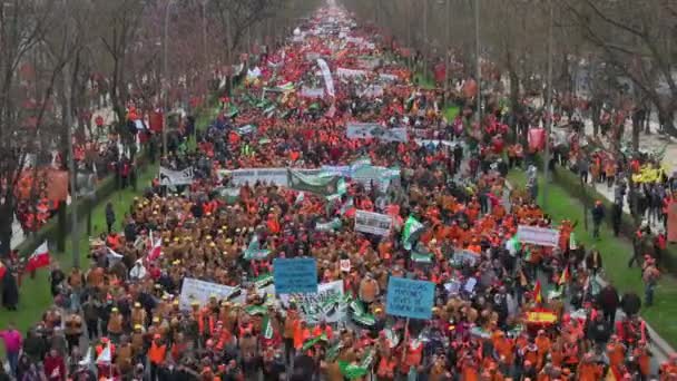 Χιλιάδες Διαδηλωτές Συμμετέχουν Μια Διαδήλωση Που Οργανώθηκε Από Συνδικάτα Αγροτών — Αρχείο Βίντεο