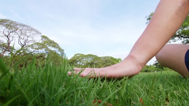 Close Vrouw Hand Aanraken Van Het Groene Gras Veld Achtergrond — Stockvideo