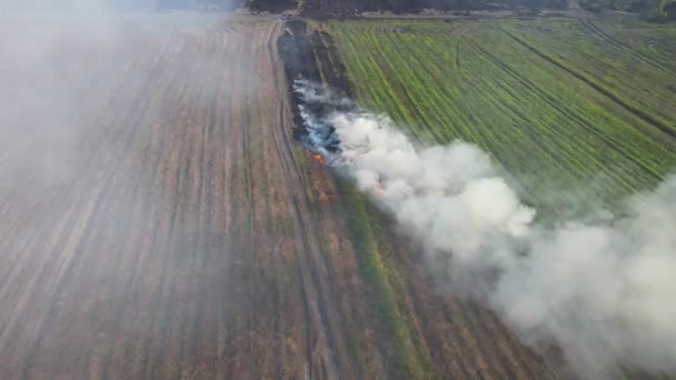 Steady Luchtbeelden Bewegen Dan Het Brandende Gras Pak Pli Nakhon — Stockvideo