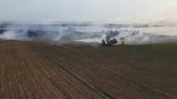 Reverse Aerial Footage Massive Burning Grass Preparation Planting Season Pak — Wideo stockowe