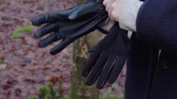 Woman Puts Gloves Start Walking Autumn Forrest Close Handheld Shot — Videoclip de stoc
