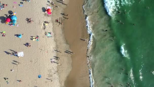 Top View Vacationists Sandy Shore Turquoise Beach Manhattan California Usa — стокове відео