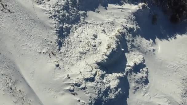 Aerial Top Winter Snow Covered Mountains Landscape Pine Tree Hiking — Vídeos de Stock