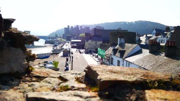 Sunny Conwy Castle Harbour Zwiedzanie Walijskiego Miasta Widokiem Kamienne Mury — Wideo stockowe