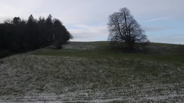 Drohnenschuss Von Einem Schneebedeckten Feld Einem Wintertag — Stockvideo