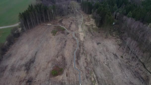 Вирубане Місце Лісі Щоб Запобігти Поширенню Паразитичного Кору Жука Вид — стокове відео