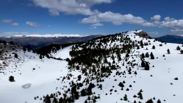 Paysage Enneigé Par Une Journée Ensoleillée Une Forêt Alpine Vue — Video