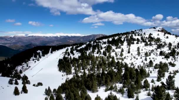 Snowy Landscape Sunny Day Alpine Forest Winter Seen Dji Drone — Vídeos de Stock