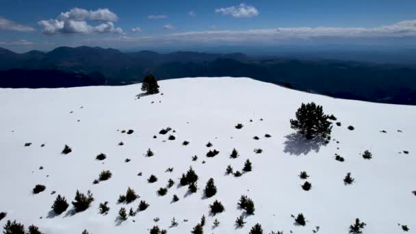 Snowy Landscape Seen Dji Drone — Vídeo de Stock