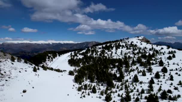 Snowy Landscape Alpine Forest Seen Dji Drone — Vídeo de stock