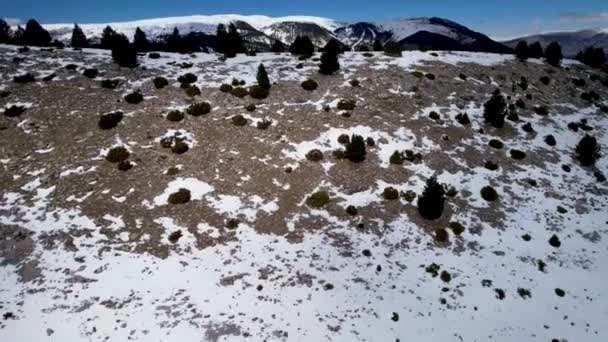 Paisaje Nevado Día Soleado Bosque Alpino Cima Una Montaña Invierno — Vídeo de stock