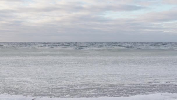 Static Shot Ice Covered Sea Waves Rolling Beach Cloudy Blue — Video