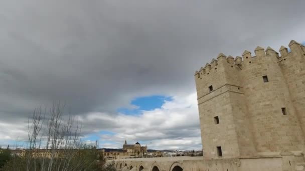 Inclinez Vous Sur Ancien Pont Romain Cordoue Espagne — Video