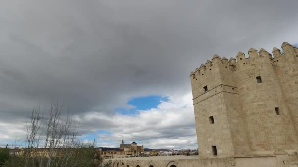 Slow Motion Tilt Ancient Roman Bridge Cordoba Spain — Vídeo de stock