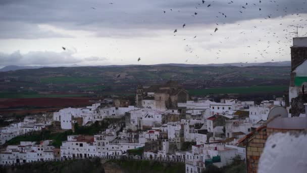 Eerie Scenery High Village Hills Many Black Birds Flying — Stock video