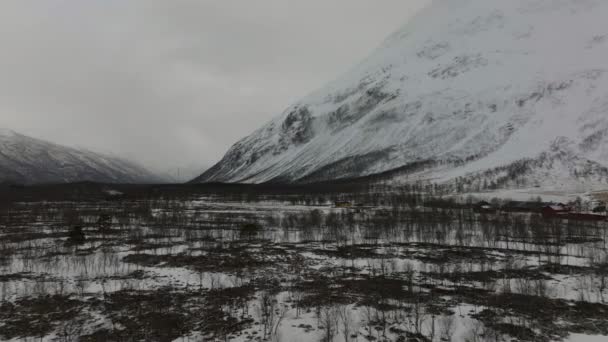 Πετώντας Πάνω Από Ένα Χιονισμένο Δάσος Μια Έρημη Κοιλάδα Troms — Αρχείο Βίντεο