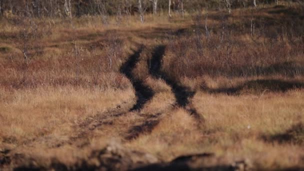 Black Tire Trails Swampy Grassland Slow Motion Pan Left — стоковое видео