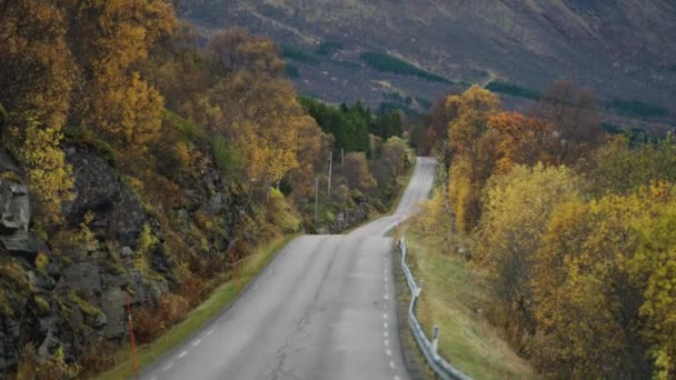 Narrow Road Follows Fjord Coastline Autumn Forest Mountain Slopes Slow — ストック動画