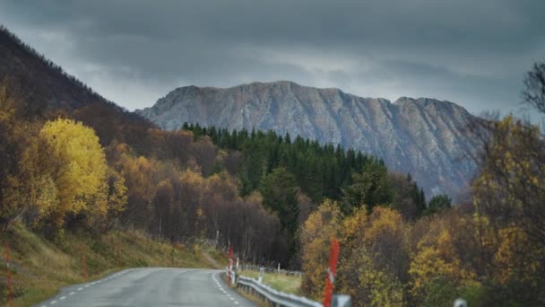 Narrow Rural Road Follows Fjord Coastline Autumn Forest Mountain Slopes — ストック動画