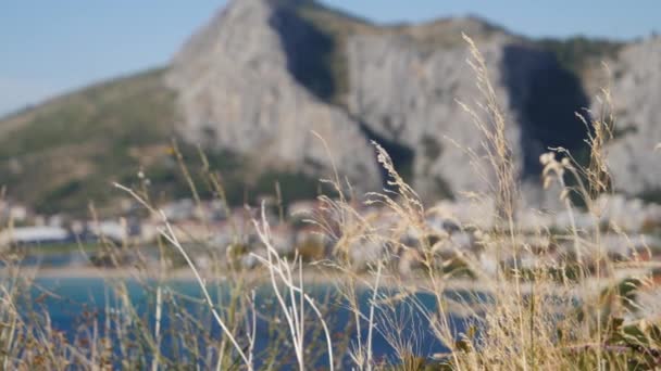 Omis Stadsrek Focus Van Gebogen Slow Motion — Stockvideo